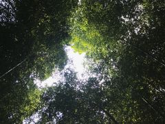 -陶祖圣境风景区