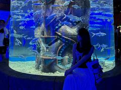 -波塞冬旅游度假区