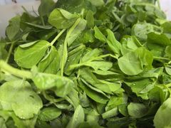 -金鼎雪山牦牛杂火锅(理县总店)