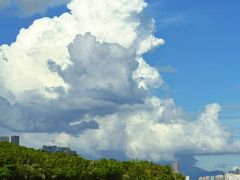 -深圳湾公园(南山区)