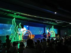 -重庆欢乐海底世界