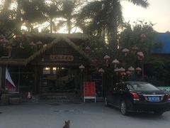 -园林美食城·本土农家菜(杨和镇店)