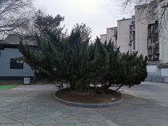 -玲珑塔公园