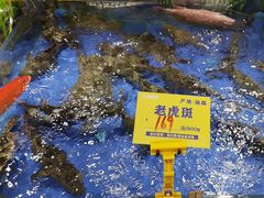 -79号渔船海鲜饭店(华强北店)