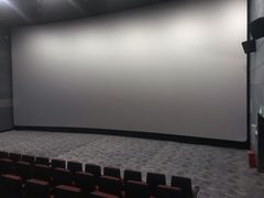 -悦江新远影城IMAX