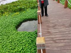 -那考河湿地公园