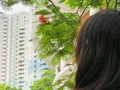 -缘生态云南菜·野生菌庭院餐厅(华侨城店)