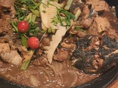 -老板恋上鱼(恒隆广场店)