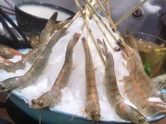 -快乐小羊(富强中路店)