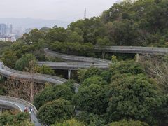 -福道