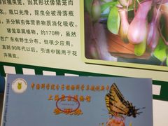 -上海昆虫博物馆