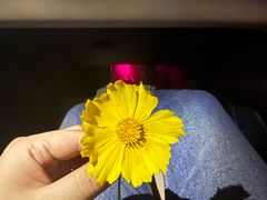 -五顺斋清真烤鸭(西大街总店)