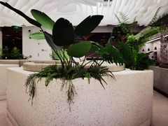-大树餐厅(大悦城店)