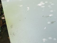 -Beans Solo豆号咖啡(百家湖花园店)
