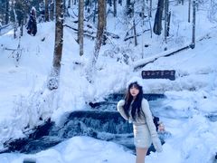 -峡谷浮石林景区