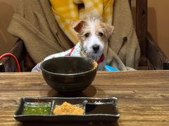 -侘与火 Wabi 侘寂烟火•锅物料理(大屯DT51店)