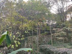-中国茶叶博物馆(双峰馆区)