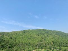 -府君山公园