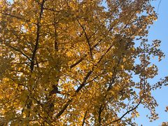 -食膳公园包子铺(烈士公园店)