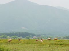 -十三陵水库