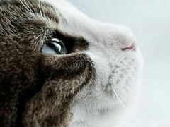 -高铁便当(长白街店)