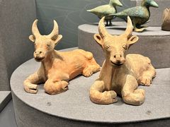 -广西壮族自治区博物馆