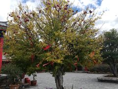 -玉水寨丽江源餐厅