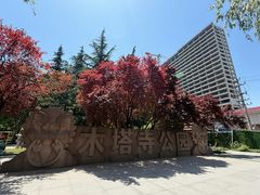 -木塔寺遗址生态公园