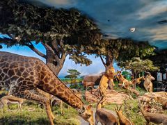 -国家自然博物馆