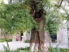 -西安关中民俗艺术博物院