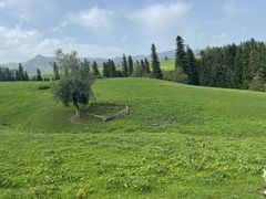 -新疆那拉提国家旅游度假区