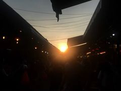-油麻地果栏