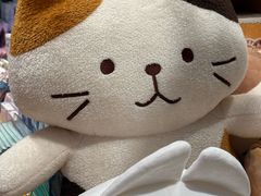 -九木杂物社(中心店)