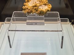 -安徽省地质博物馆