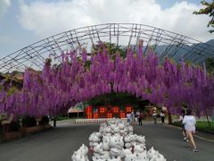 -牛鱼嘴原始生态风景区