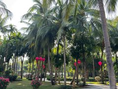 -三亚湾海居铂尔曼度假酒店