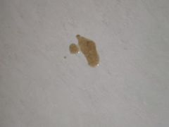 -达爱动物医院·犬猫分区·CT·复杂眼科(远洋山水分院)