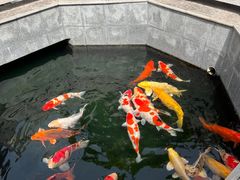 -西安市广仁寺
