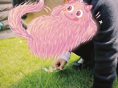 -MICC蒙世学堂幼儿园(灵山校区)