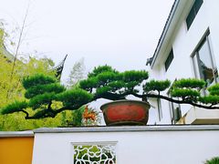 -龙华寺