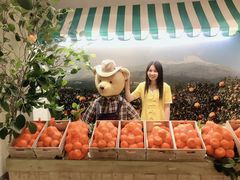 -济州岛泰迪熊博物馆