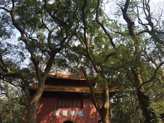 -普陀山风景名胜区-法雨禅寺