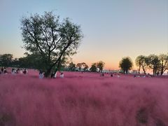 -汉长安城未央宫国家考古遗址公园