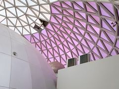 -陕西自然博物馆