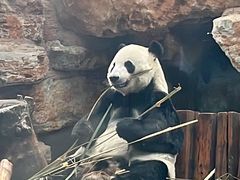 -石家庄市动物园