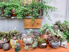 -又至园精品咖啡馆(将军塘店)