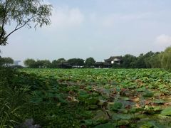 android_upload_pic-高子水居