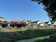 -莲花岛景区