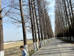 -嘉北郊野公园