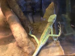 -酷嗒动物文化乐园(cutezoo西溪乐天城店)